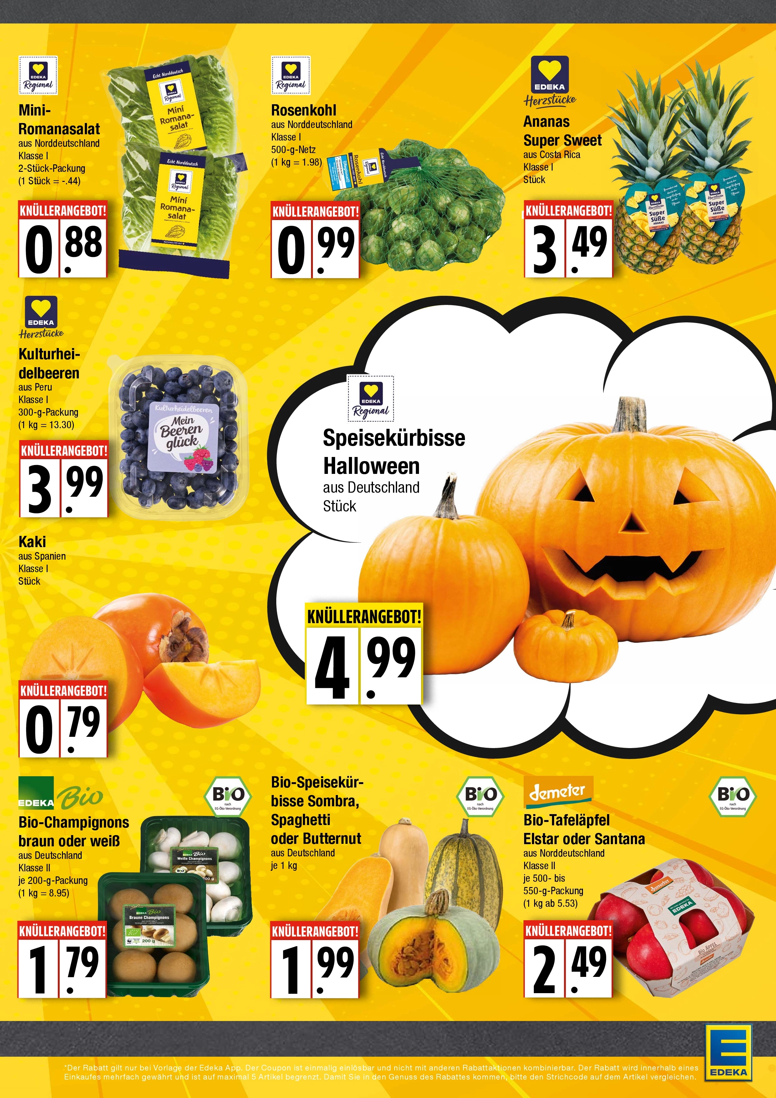 Handzettel Rückseite